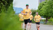 Wings for Life World Run (10.05.2026)