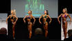 Mr. Universe Liechtenstein (29.03.2025)