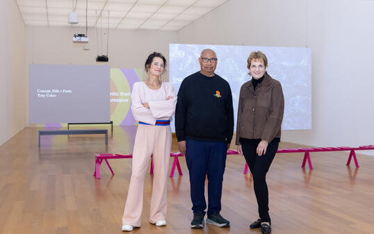 PK Tony Cokes, Vaduz