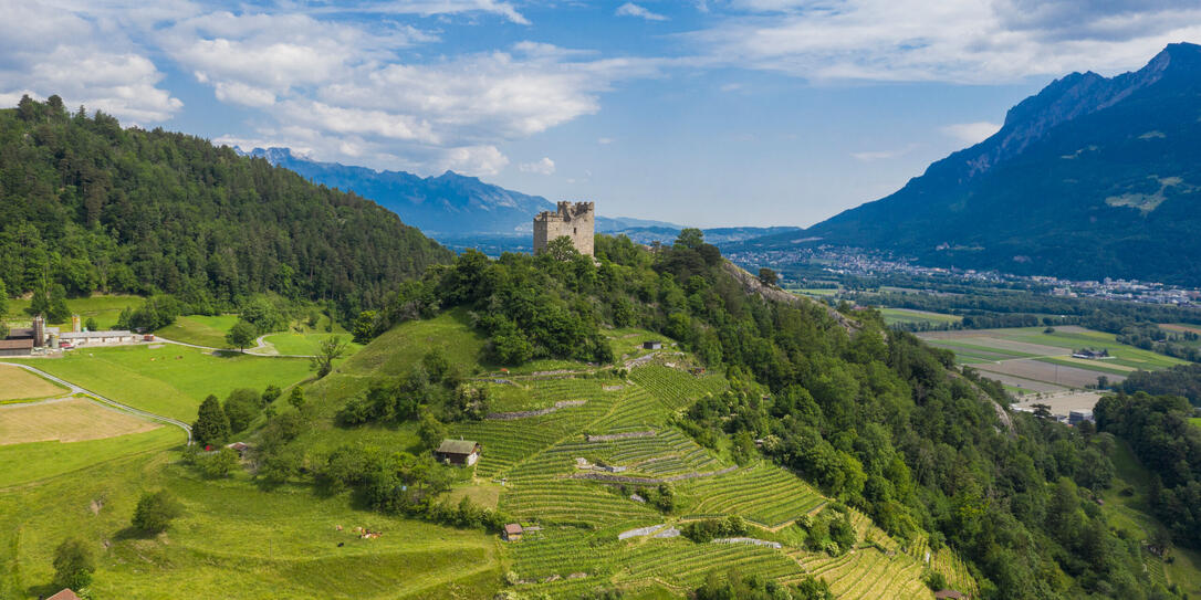 Burgruine Wartau Burgruine Wartau