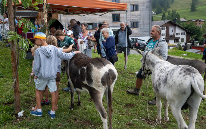 Eselfest in Malbun