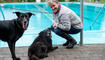 Hundeschwimmen im Freibad Salez