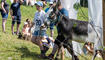 Eselfest in Malbun