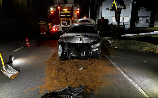 Das Fahrzeug kollidierte mit einem Kandelaber.