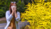 Ambrosia bush in the background woman blows her nose in napkin Seasonal allergic reaction to plants concept