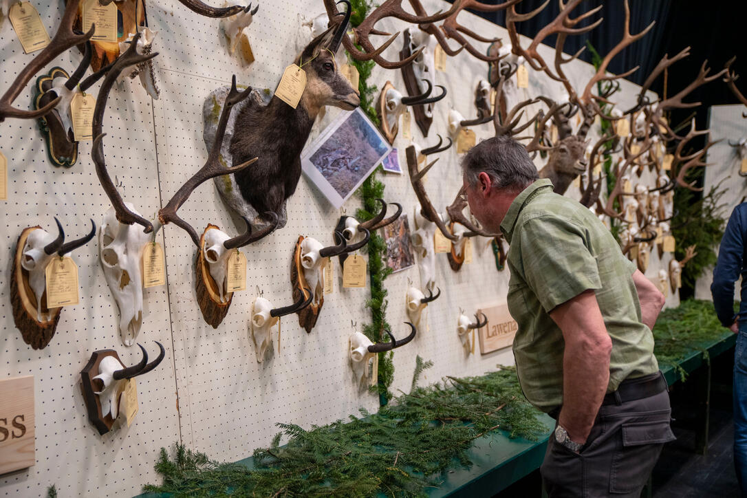 Hegeschau, in Schaan (28.02.2026)