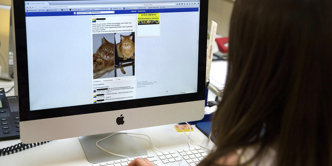 Facebookseite Fellnasen Facebookseite Fellnasen