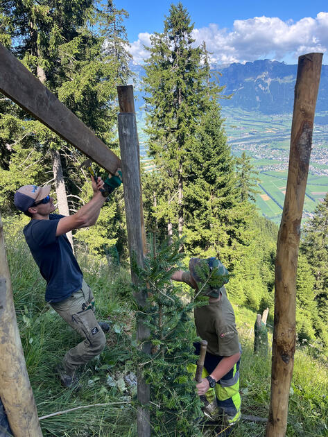 Bergwaldprojekt Matonahütte Schaan (10.07.25)
