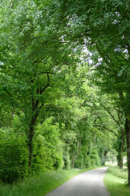 #näherdran-Fotowettbewerb Balzers