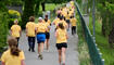 Wings for Life World Run (10.05.2026)