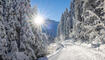 Winter in Steg