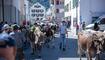 Alpabfahrt Mels 12.09.2026