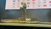 Bob- und Skeleton-WM in St.Moritz