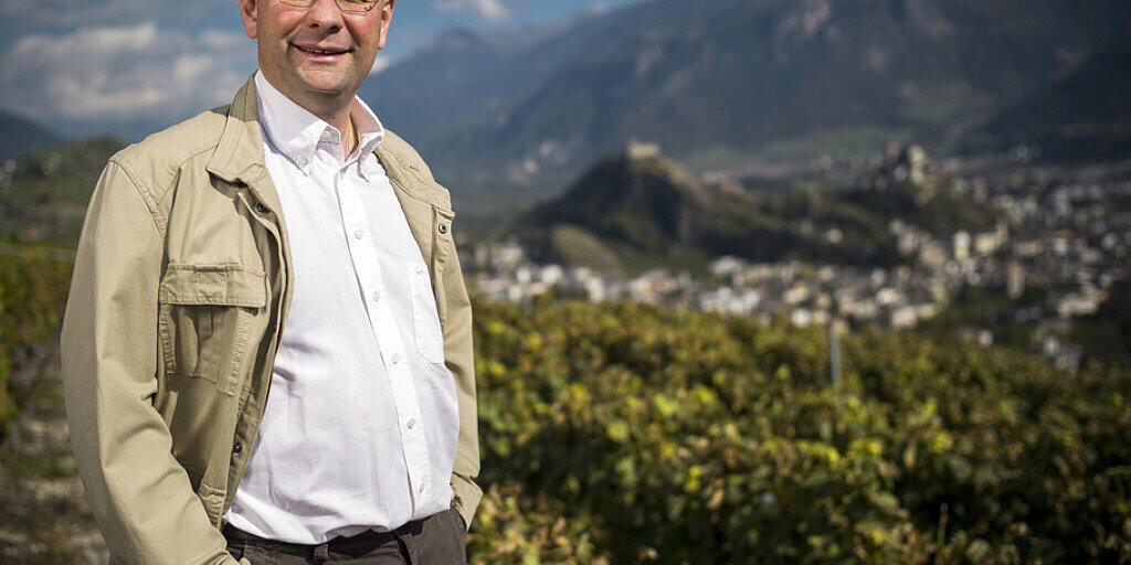 Dominique Giroud in den Weinbergen von Savièse VS. Die Affäre um den Walliser Weinhändler beschäftigt die Justiz seit Jahren. (Archivbild)