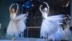 Operette «Die Fledermaus»