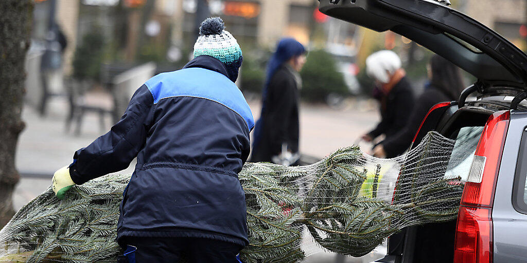Rund 500'000 Schweizer Christbäume dürften in den nächsten Wochen verkauft werden. Trotz Frostschäden gibt es keinen Versorgungsengpass. (Archivbild)
