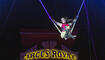 Circus Royal in Buchs