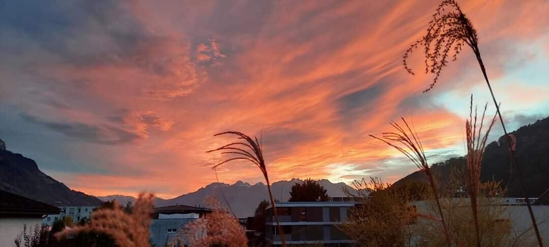 Wunderschöne Abendstimmung