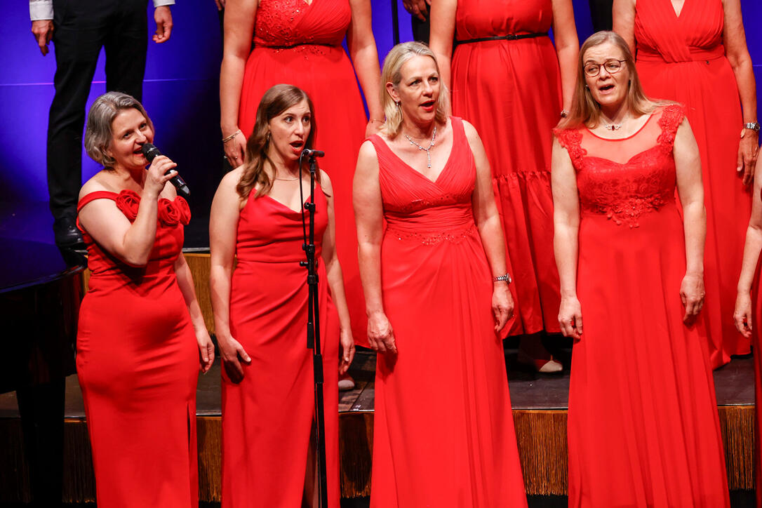 Jubil&auml;umskonzert &laquo;30 Jahre Divertimento Chor&raquo;. 20.06.2026.