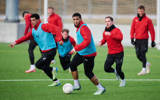 Trainingstart  FC VaduzTechnisch und pyhsisch stark und mit viel Übersicht: Adriano Onyegbule (mitte) soll dem FCV in der Rückrunde helfen.
