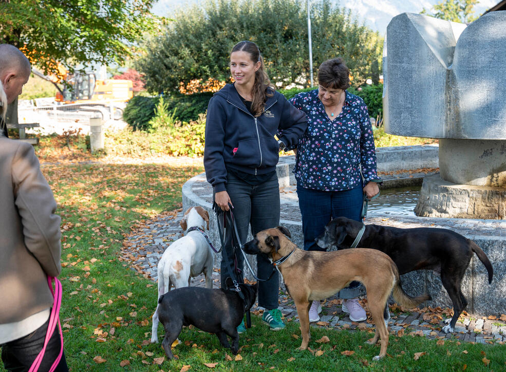 Tiersegnung in Gamprin (03.10.2026)