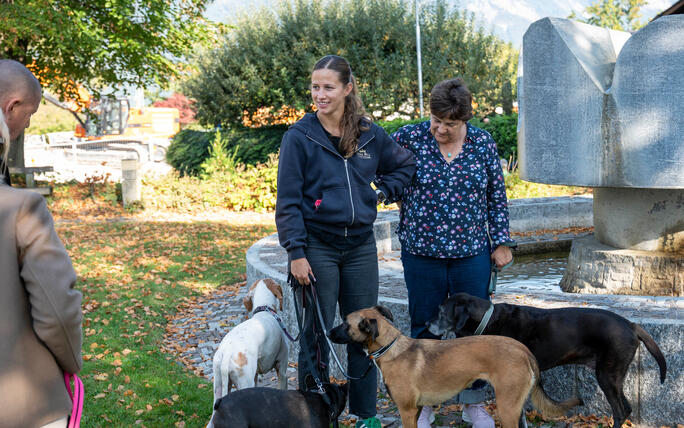 Tiersegnung in Gamprin (03.10.2026)