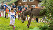 Eselfest in Malbun