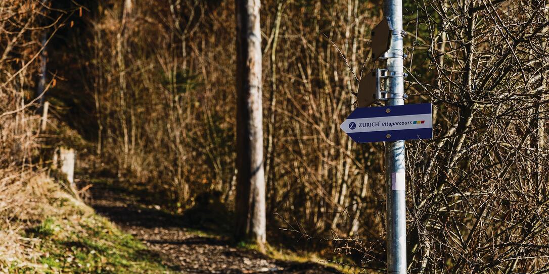 Wald in Triesenberg