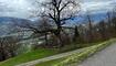 Aussicht in Triesen