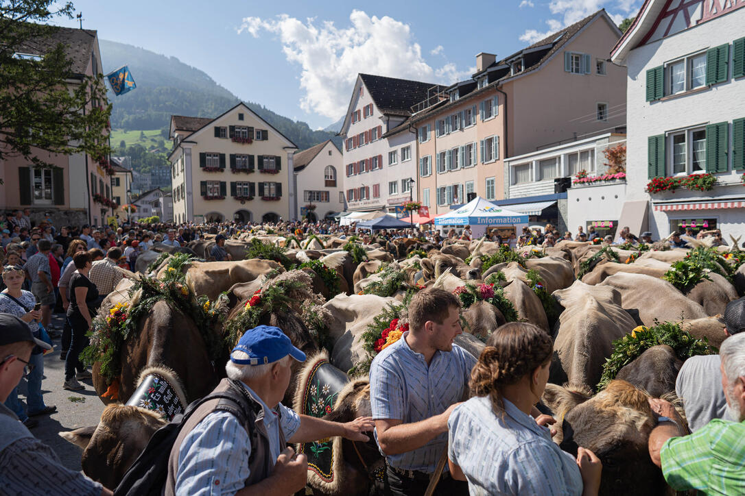Alpabfahrt in Mels
