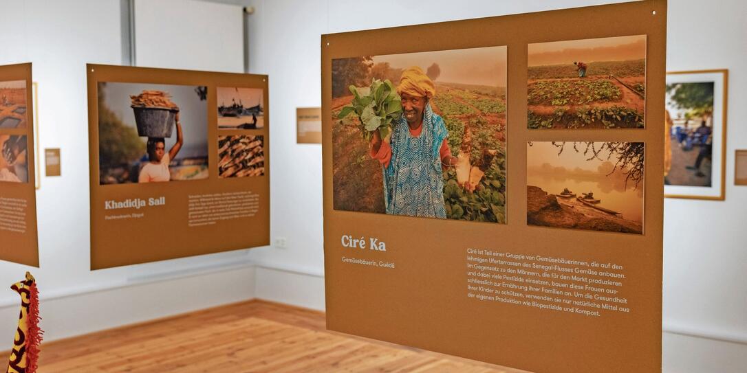 Vernissage 60 Jahre LED