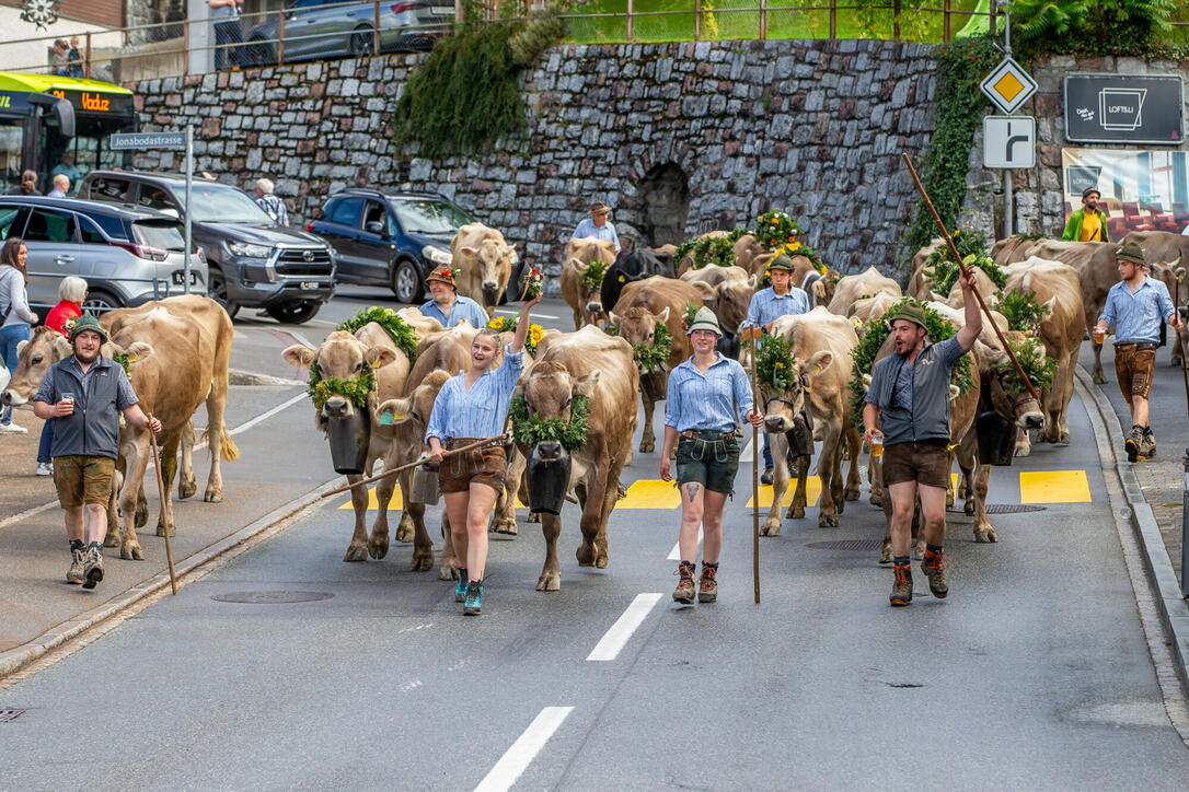 Alpabfahrt Sücka