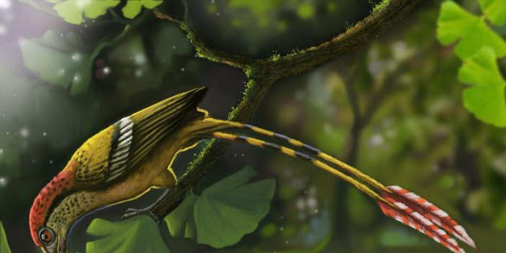 Der nur Kolibri-grosse Vogel mit bunten Federn lebte vor etwa 115 Millionen Jahren im heutigen Brasilien. Der nur Kolibri-grosse Vogel mit bunten Federn lebte vor etwa 115 Millionen Jahren im heutigen Brasilien.