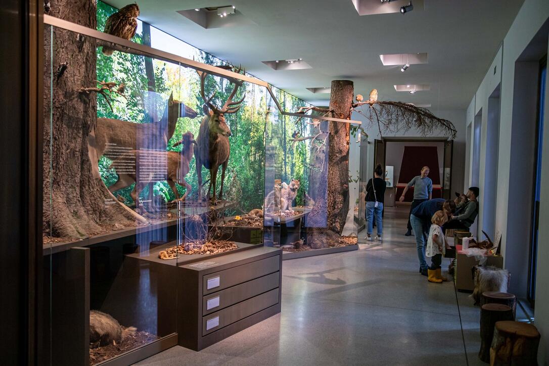 Reiseziel Museum in Vaduz (07.07.2024)