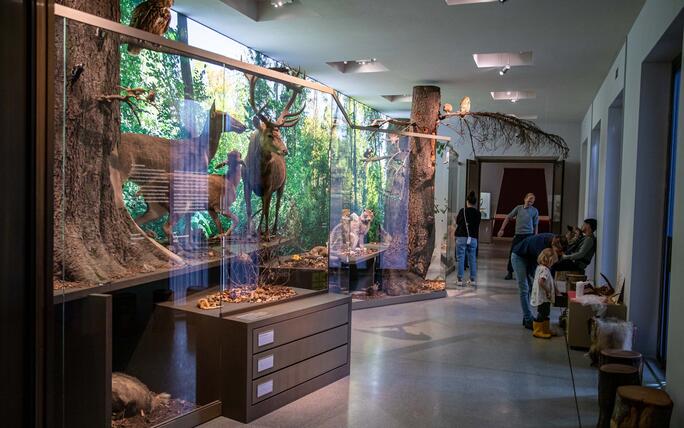 Reiseziel Museum in Vaduz (07.07.2024)