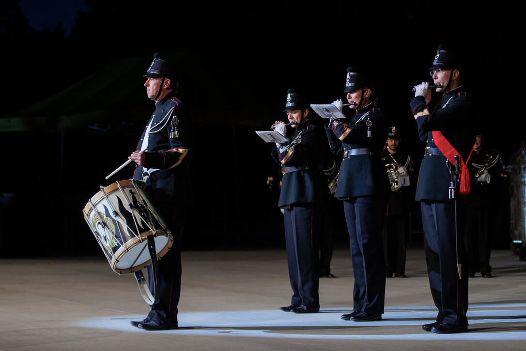 The Princely Liechtenstein Tattoo in Schellenberg
