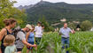 Kulinarik Feld Flurgang durch das Haberfeld in Vaduz (23.06.2026)