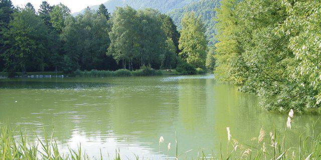 Titel des Bildes