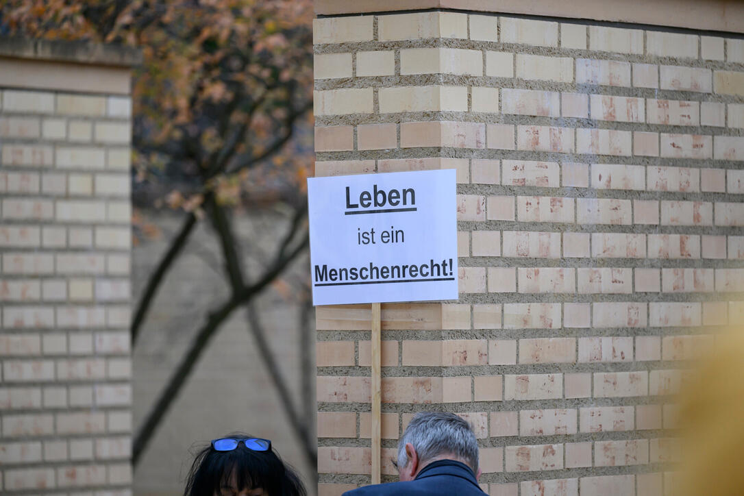 Demo Fristenl&ouml;sung Vaduz