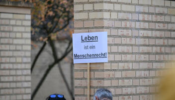 Demo Fristenl&ouml;sung Vaduz
