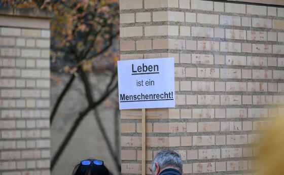 Demo Fristenl&ouml;sung Vaduz