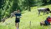 25. LGT Alpin Marathon