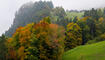 Herbst im Land