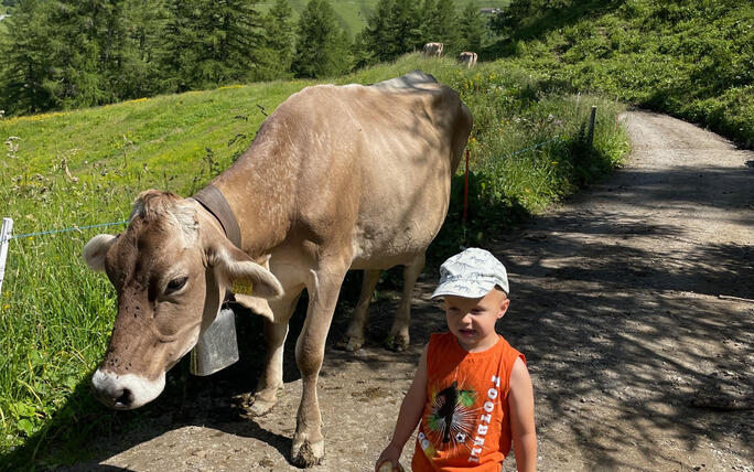 Alpherzweg Malbun - Leserwettbewerb