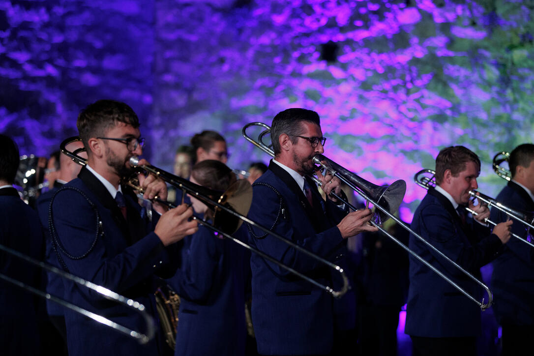 The Princely Liechtenstein Tattoo in Schellenberg