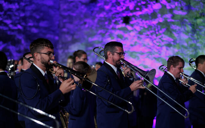 The Princely Liechtenstein Tattoo in Schellenberg
