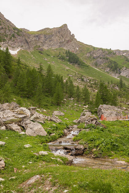 Wanderung: Steg - Alpeti - Pfälzerhütte - Malbun