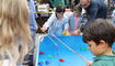 Buchserfest