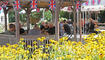 British Biker Meeting in der Heuwiese