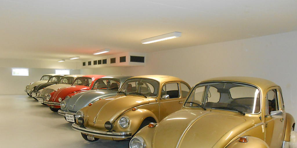Fein säuberlich aufgereiht präsentieren sich die Käfer den Museumsbesuchern.
